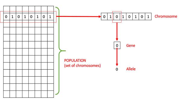 Terminology