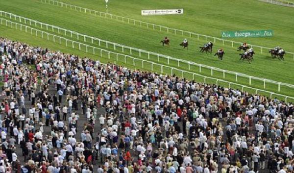 Flat Racing