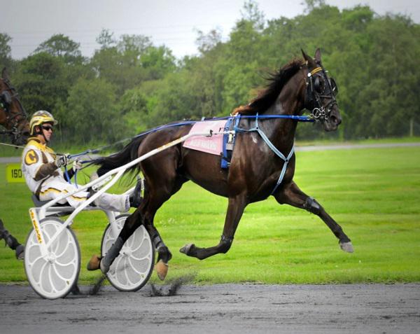 Harness Racing