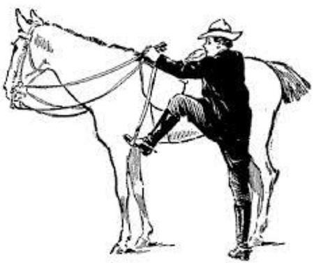 How to Ride