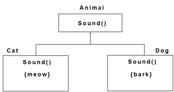 Polymorphism Example