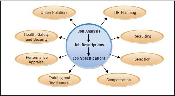 Job Analysis