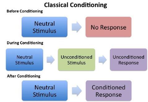 Classical Conditioning