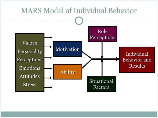 Mars Model of Individual Behavior
