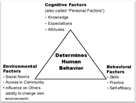 Social Learning Theory