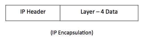 IP Encapsulation