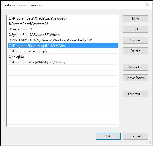 Edit Environment Variable