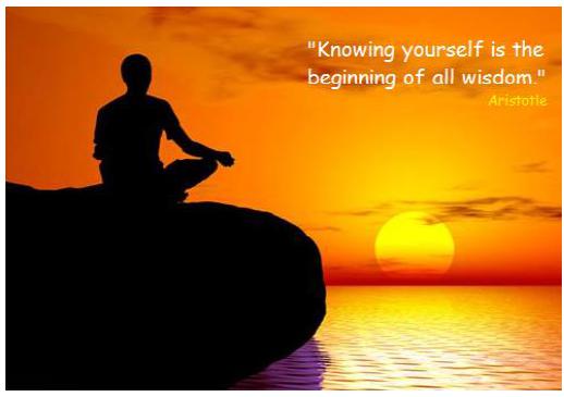 Self-Introspection