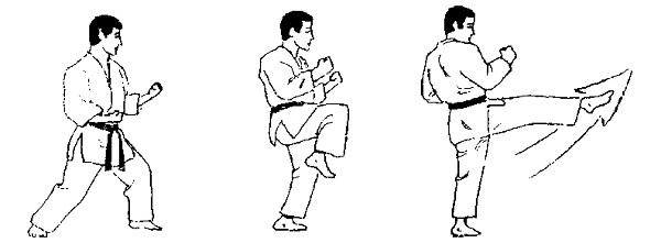 Front Kick