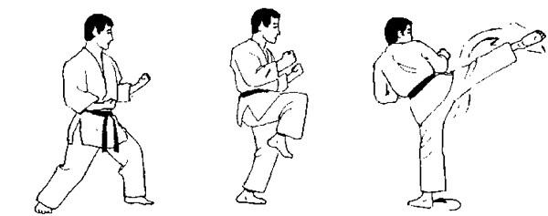 Hook Kick