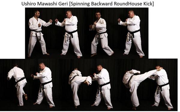 Round House Kick
