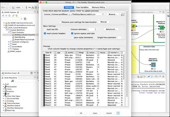 Adult CSV File