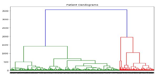Patient Dendograms