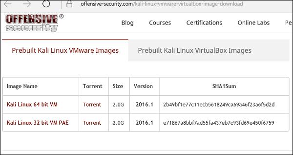 Install Kali Linux