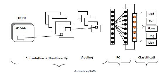 Cnns Architecture