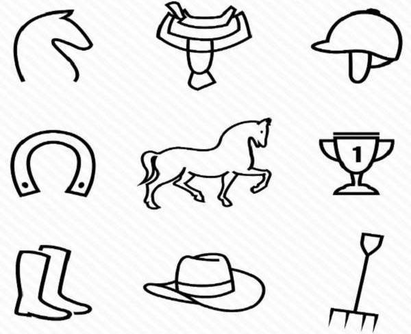 Show Jumping Equipments