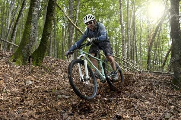 Free Ride Bikes