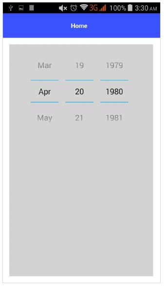 DatePicker