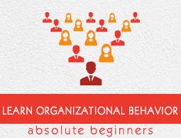 Organizational Behavior Tutorial