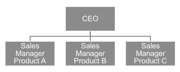 Product Oriented