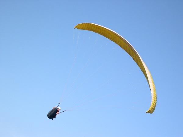 Paraglider