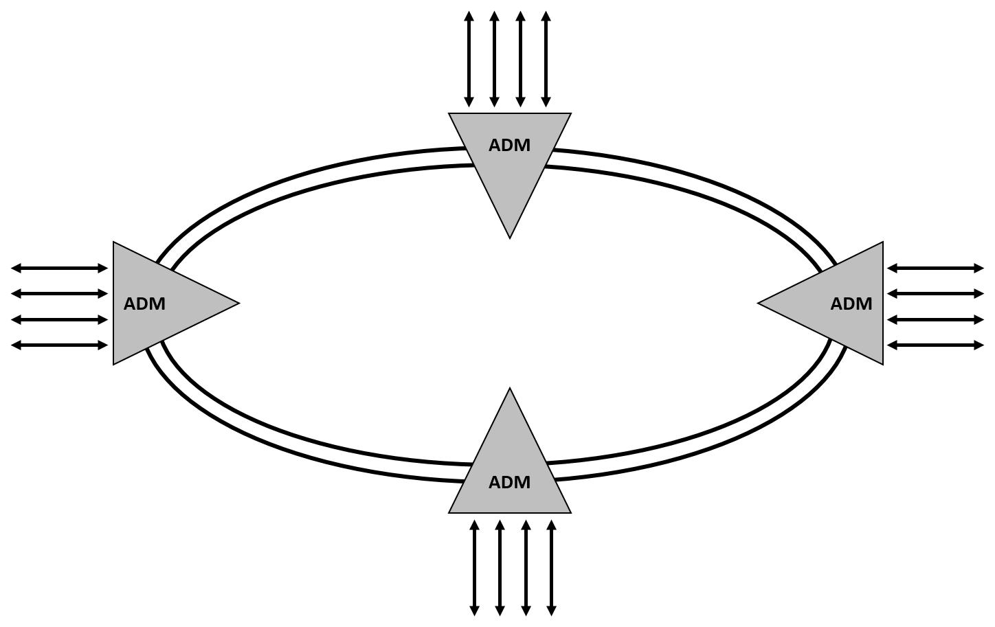 SDH Ring System