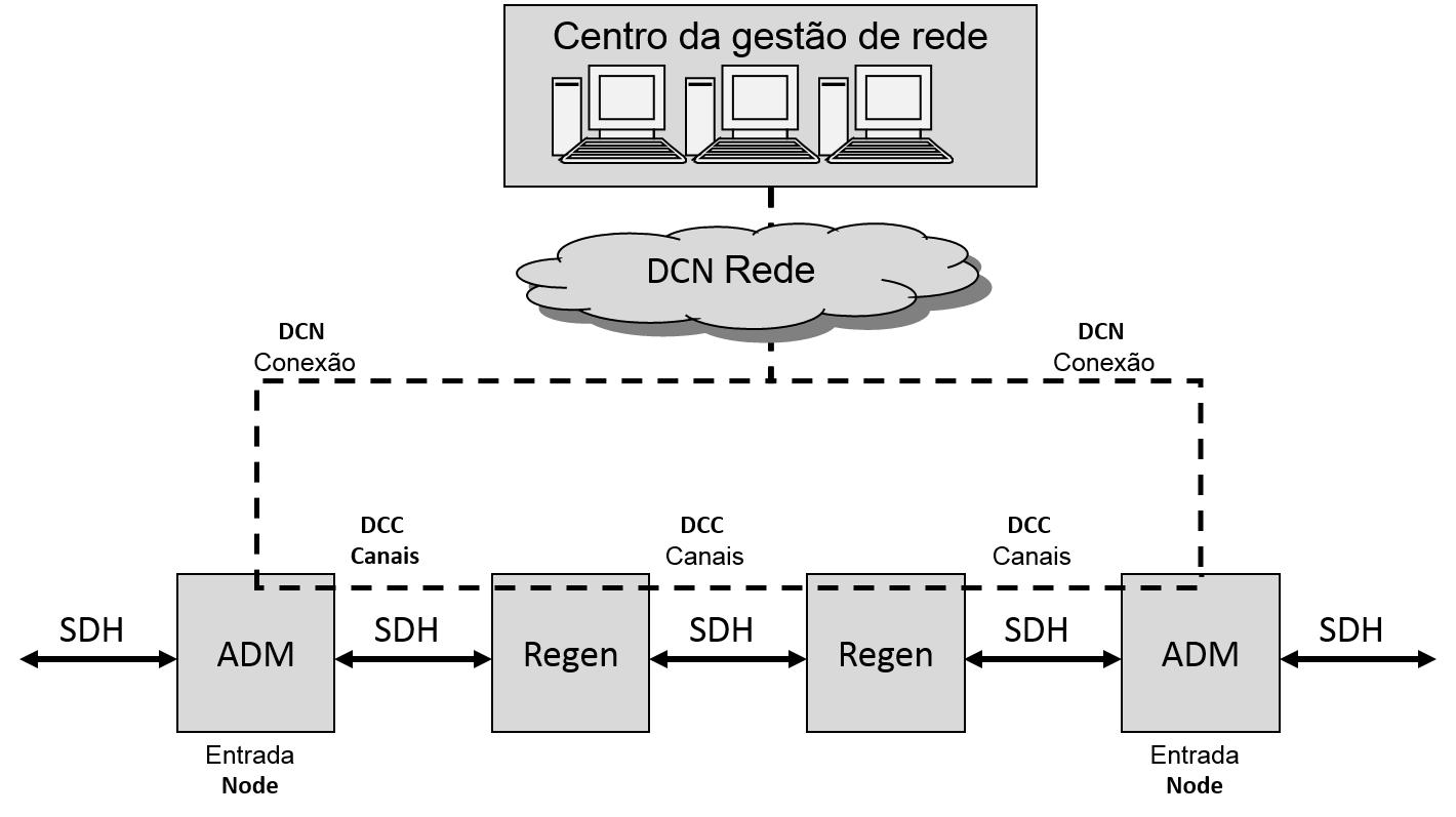 SDH Management