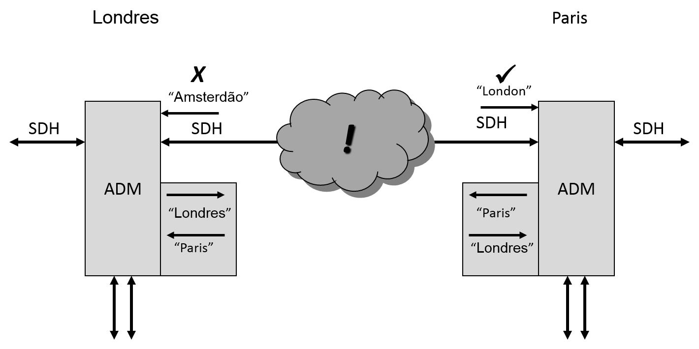SDH Path Traces