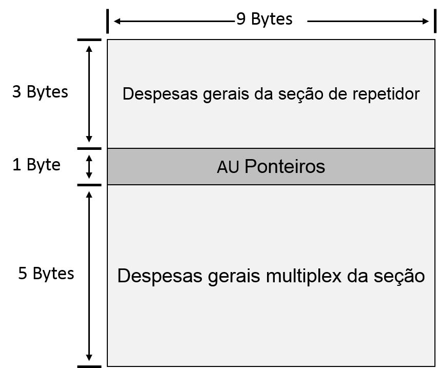 STM-1 Frame Overhead