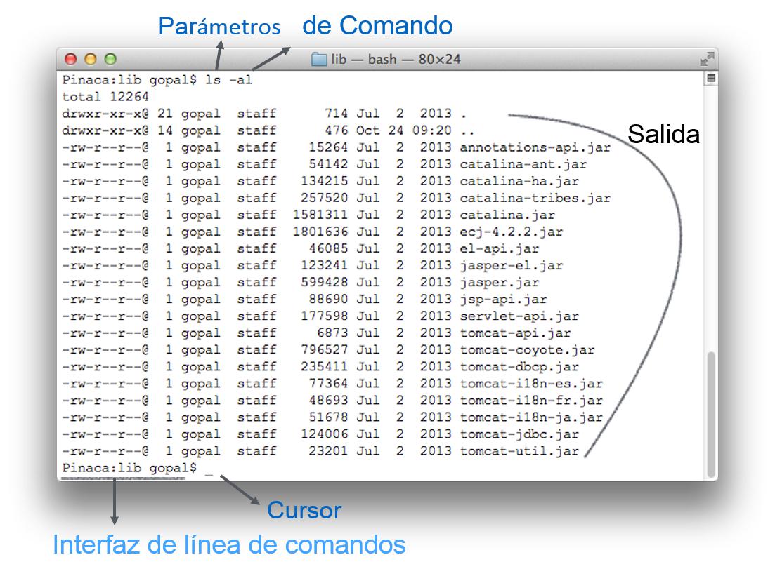 Command Line Interface (CLI)