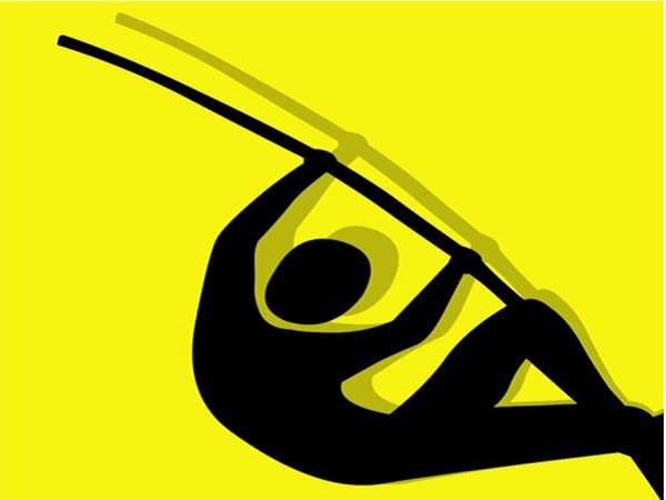Pole Vaults