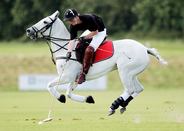Polo Player