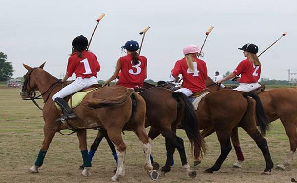 Polo Rules