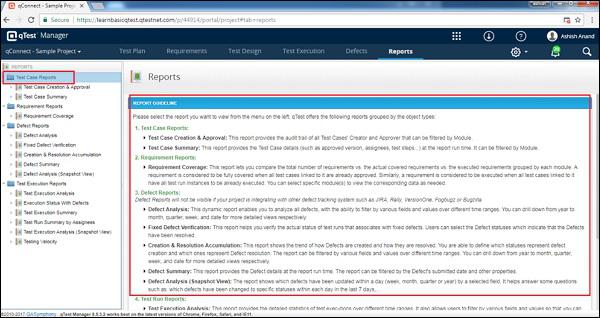 Report Section