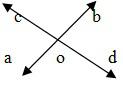 Vertically Opposite Angles
