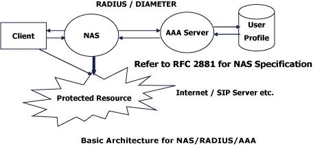 NAS Architecture