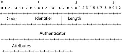 Radius Packet Format