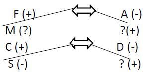 Coded Relationship Step 2 Example