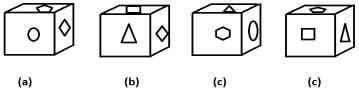 6 Options