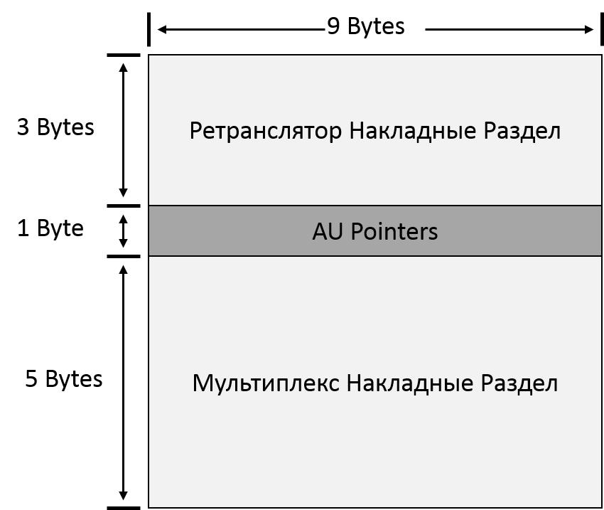 STM-1 кадров ВЛ