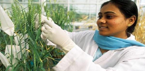 Agricultural Inputs