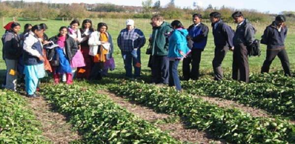 Empowering Agriculture In Rural Markets