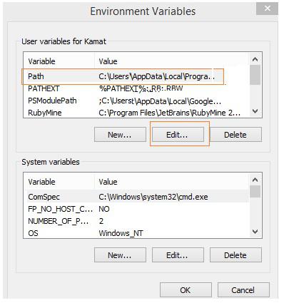 Environment Variable