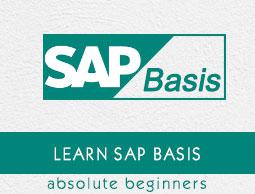 SAP Basis Tutorial