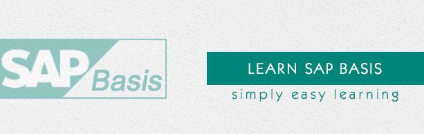 SAP Basis Tutorial