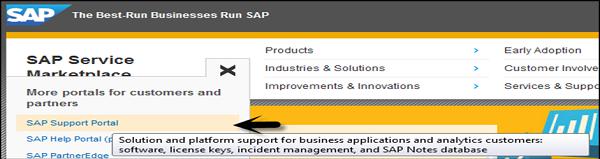 SAP Businesses