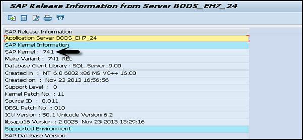 SAP Information