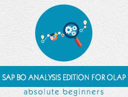 SAP BO Analysis Tutorial