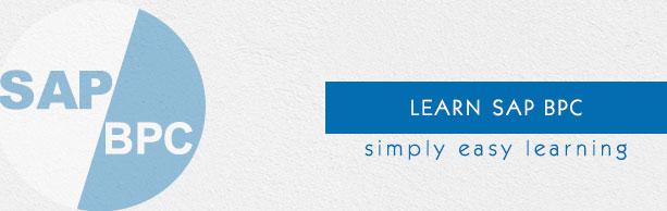 SAP BPC Tutorial
