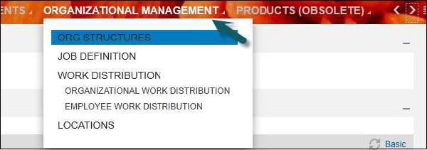 Organizational Management